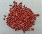 Wholesale Chinese Raw Peanut Price Red Skin Peanut Kernel - Image 3