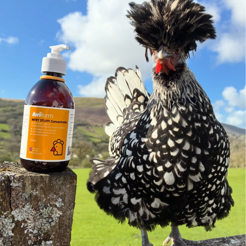 Mitey Stuff!-250ml-Red Mite Liquid Supplement for Chickens - Image 5