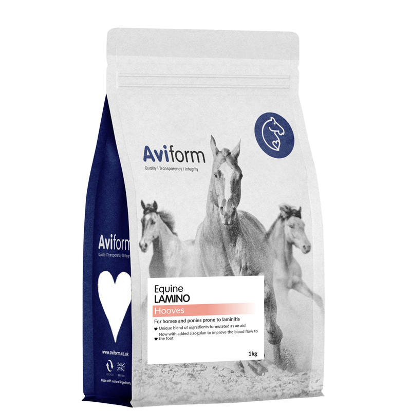 Lamino-1kg-For Horses