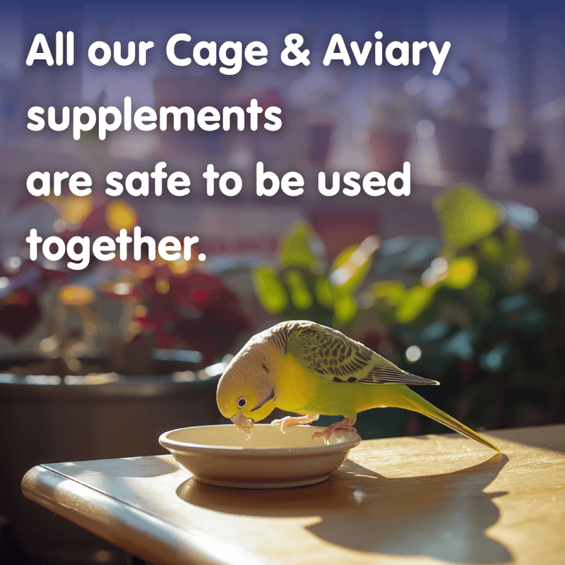 NEW CALCIFORM-1000ml-HiD3 Liquid Calcium for Cage & Aviary Birds - Image 2