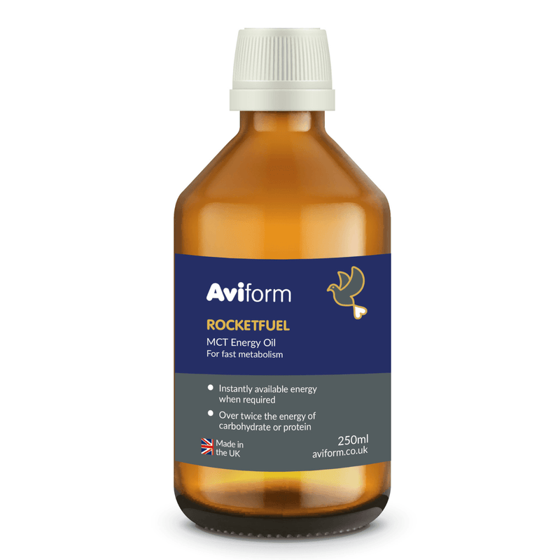 ROCKETFUEL MCT-250ml- Energy Oil for Racing Pigeons