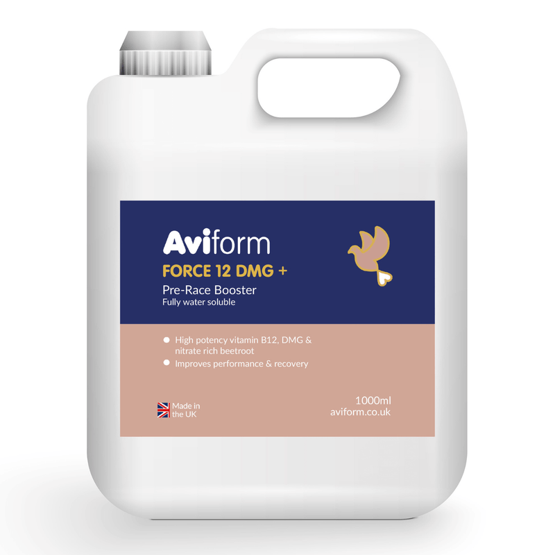 FORCE 12 + DMG-1000ml-Pre Race Booster for Racing Pigeons