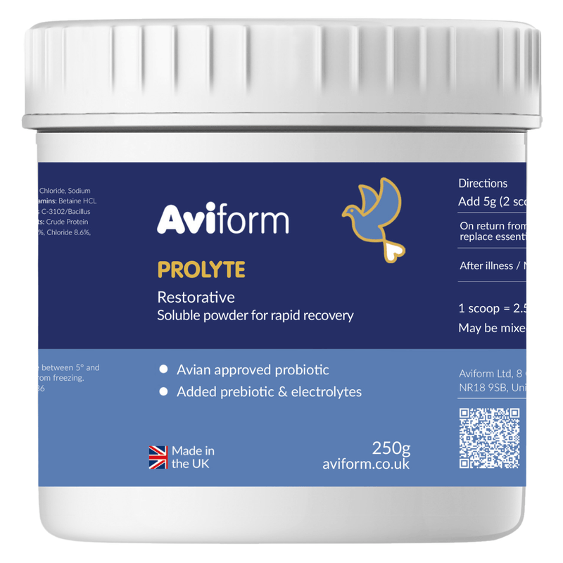 PROLYTE-250g-Probiotic Post Race Restorative Supplement for Racing Pigeons