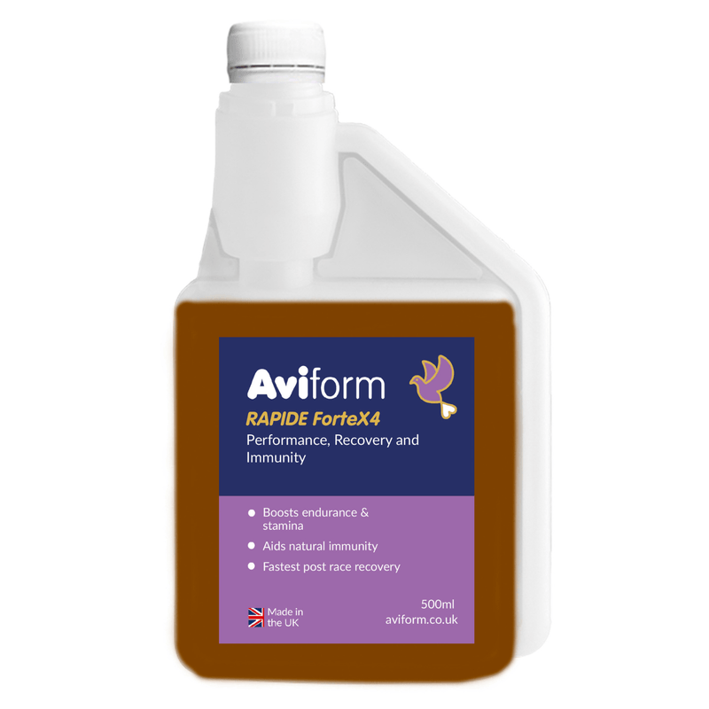 RAPIDE ForteX4 Stamina,-500ml-Endurance, Recovery and Immunity Supplement for Racing Pigeons