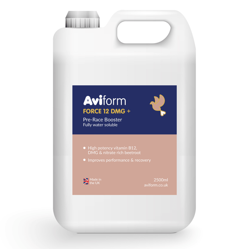 FORCE 12 + DMG-2500ml-Pre Race Booster for Racing Pigeons
