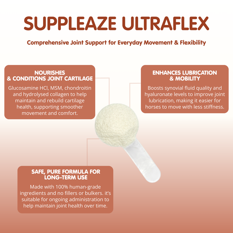 Suppleaze Ultraflex-1kg-Equine Joint Supplement - Image 2
