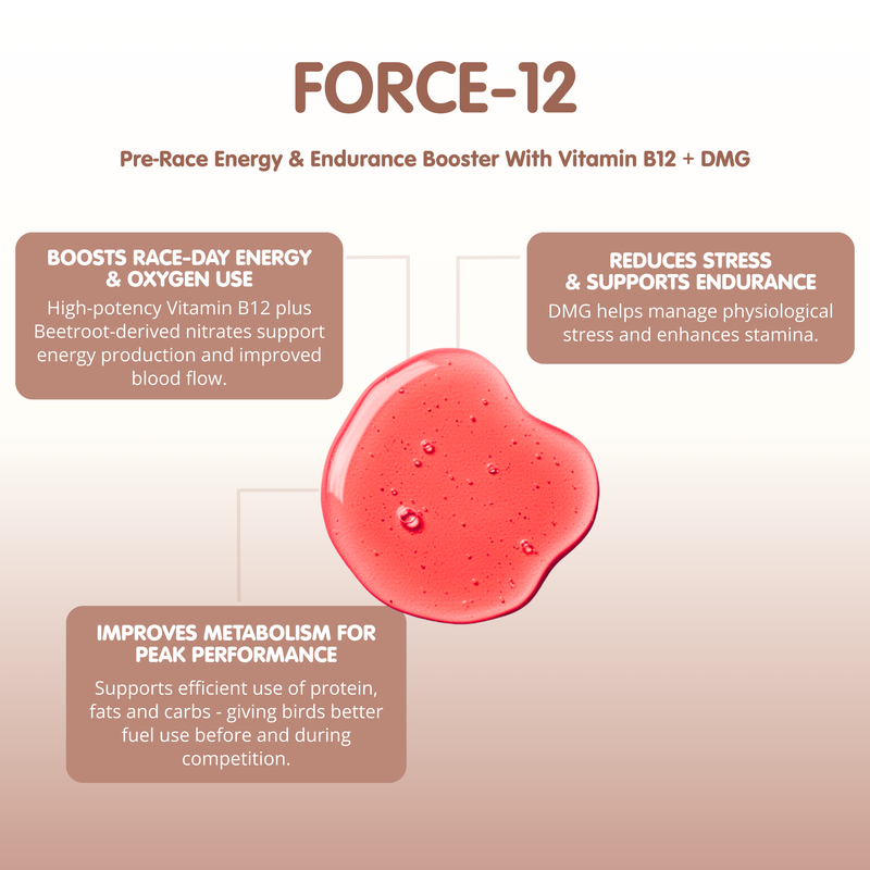 FORCE 12 + DMG-1000ml-Pre Race Booster for Racing Pigeons - Image 2