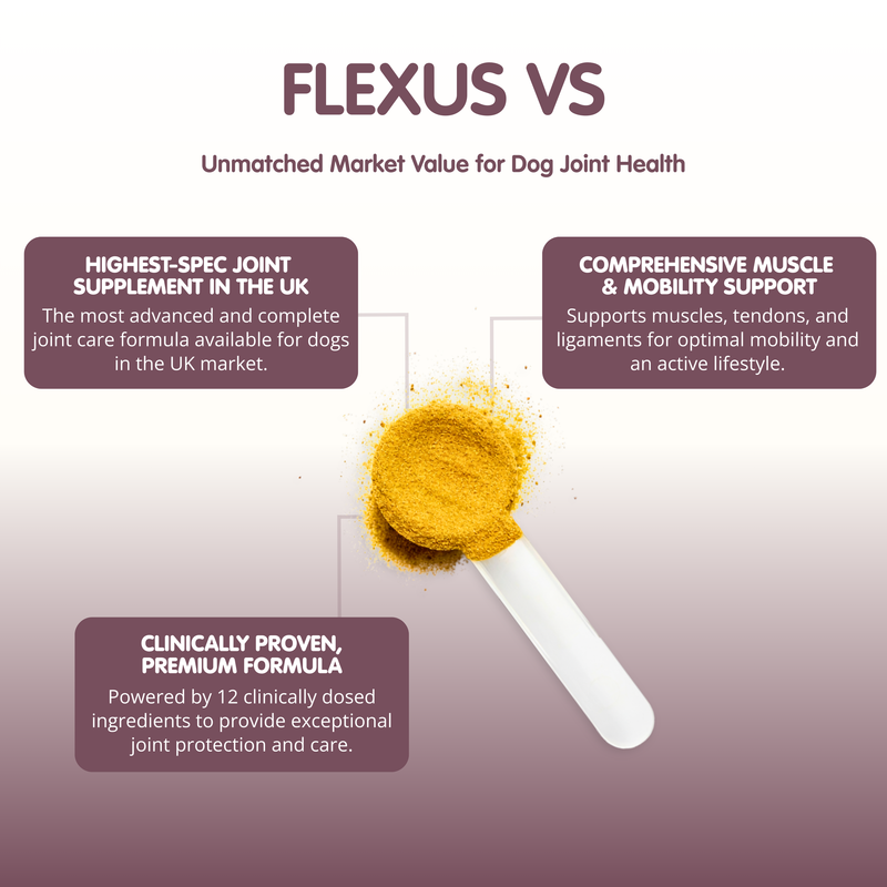 Flexus VS-500g-Ultimate Dog Hip and Joint Supplement - Image 2
