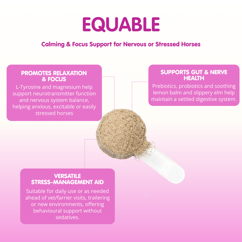 Equable-1kg-Powder Horse Calmer - Image 2