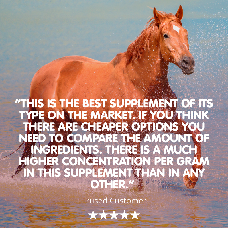 Suppleaze VS-1kg-Ultimate Equine Joint Supplement - Image 3