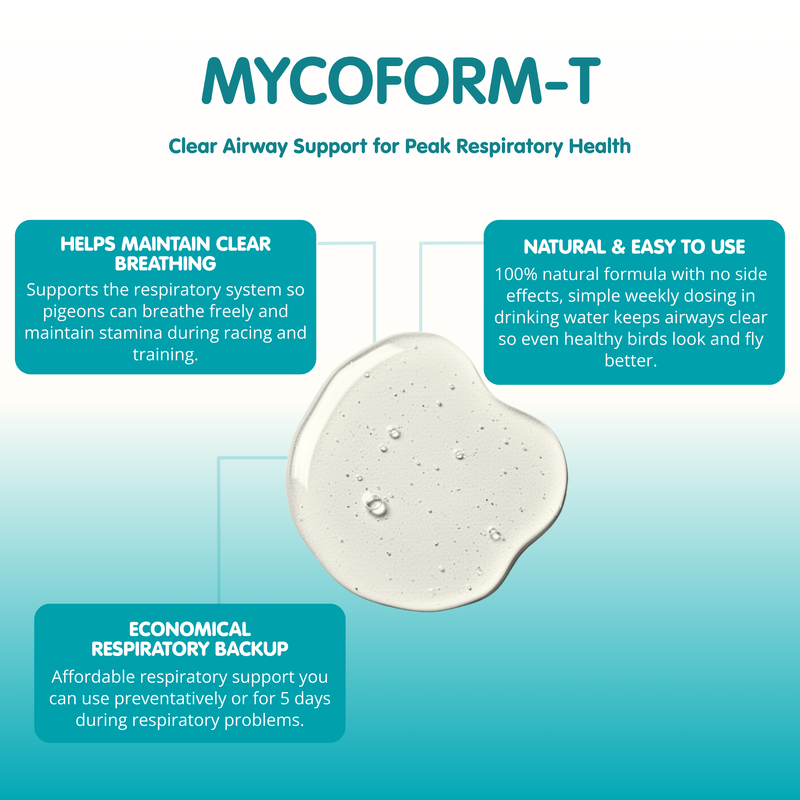 MYCOFORM-T-500ml-Racing Pigeon Respiratory - Image 3