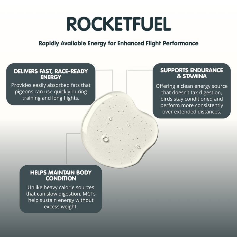 ROCKETFUEL MCT-250ml- Energy Oil for Racing Pigeons - Image 3