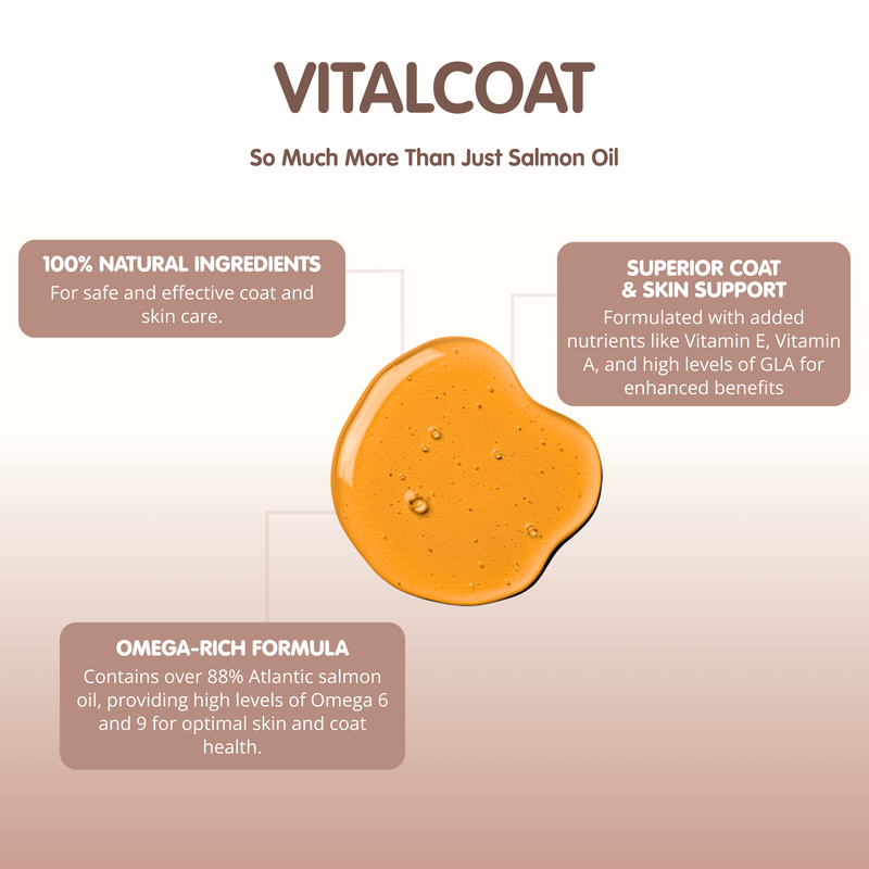 Vitalcoat-250g-Dog Coat and Skin Conditioner - Image 2