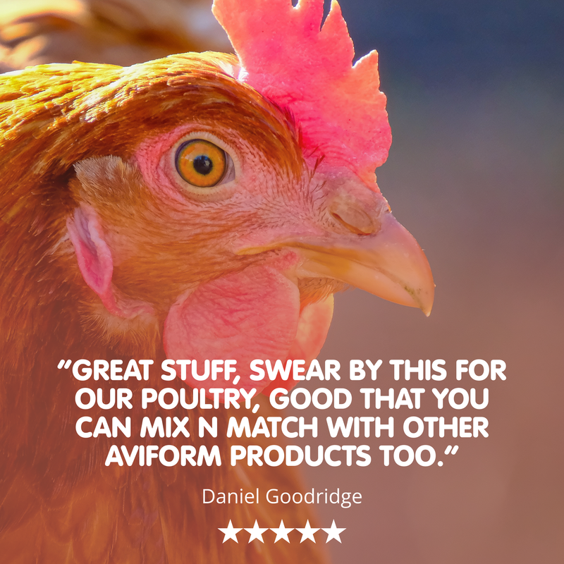 MULTIVIT STUFF!-250g-All in One Chicken Multivitamin and Conditioner - Image 4