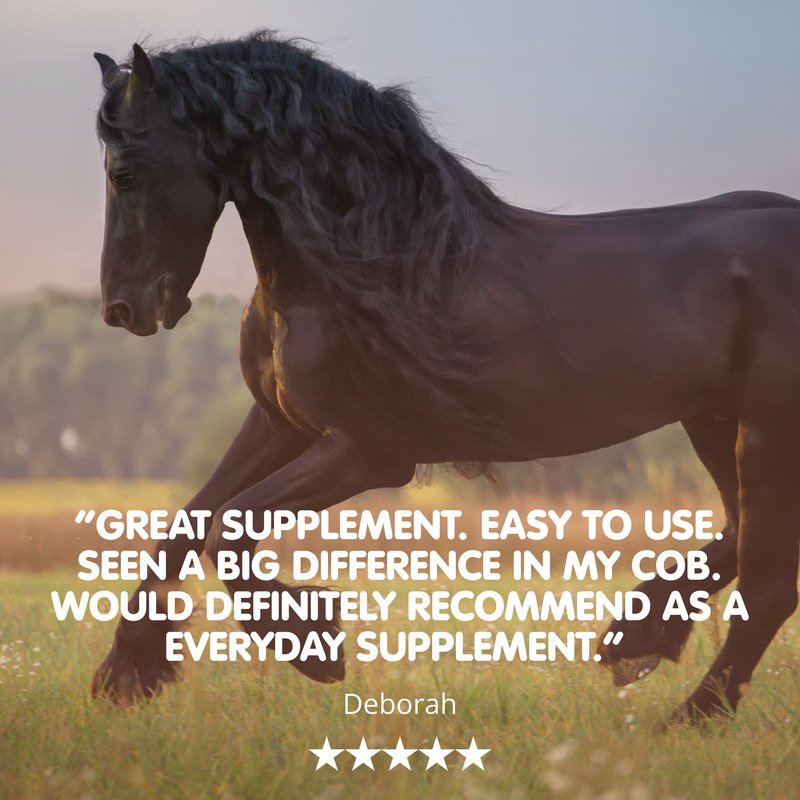 Suppleaze Ultraflex-1kg-Equine Joint Supplement - Image 3
