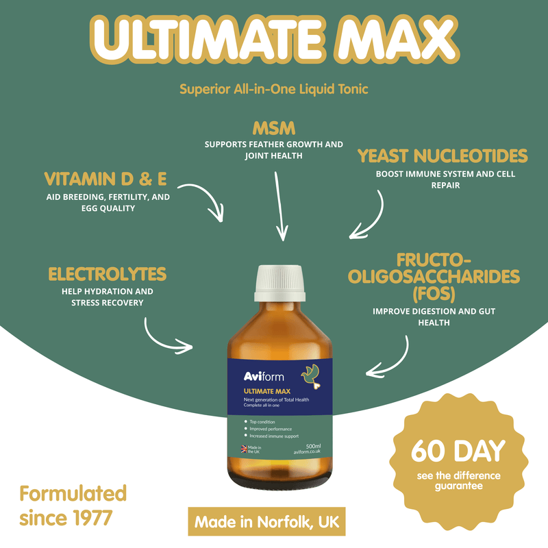 AVIFORM ULTIMATE MAX-500ml-Complete Supplement for Racing Pigeons - Image 2