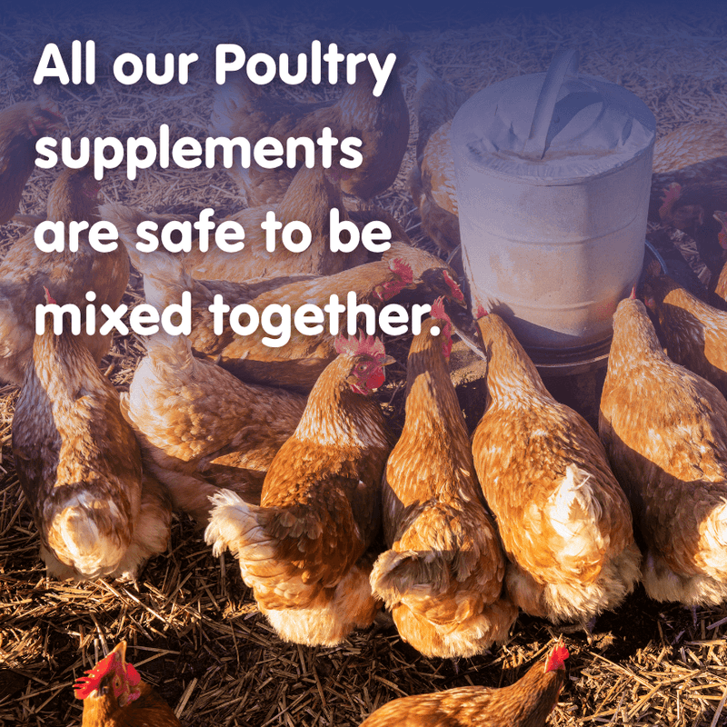 MULTIVIT STUFF!-250g-All in One Chicken Multivitamin and Conditioner - Image 3