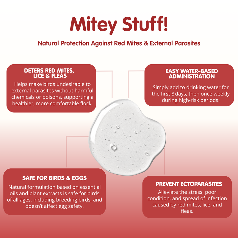 Mitey Stuff!-250ml-Red Mite Liquid Supplement for Chickens - Image 3