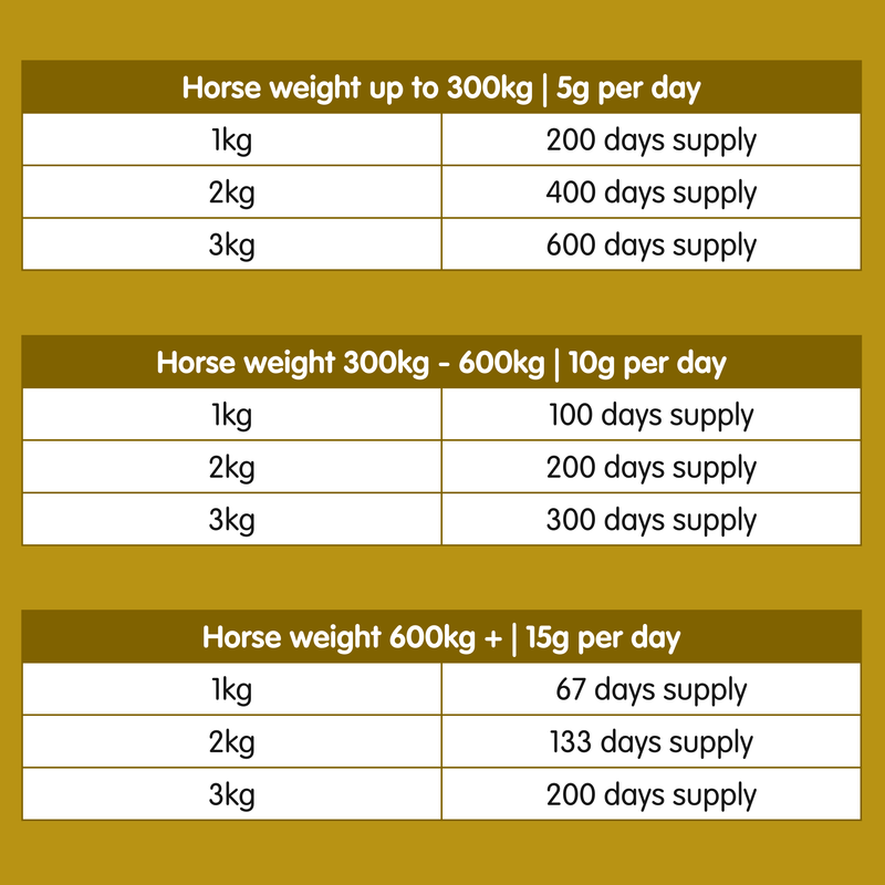 MSM | Pure Joint Care Supplement for Horses - Image 4
