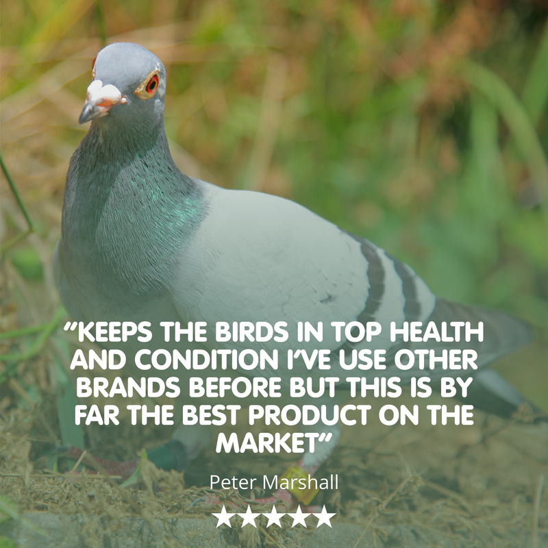 AVIFORM ULTIMATE MAX-500ml-Complete Supplement for Racing Pigeons - Image 4