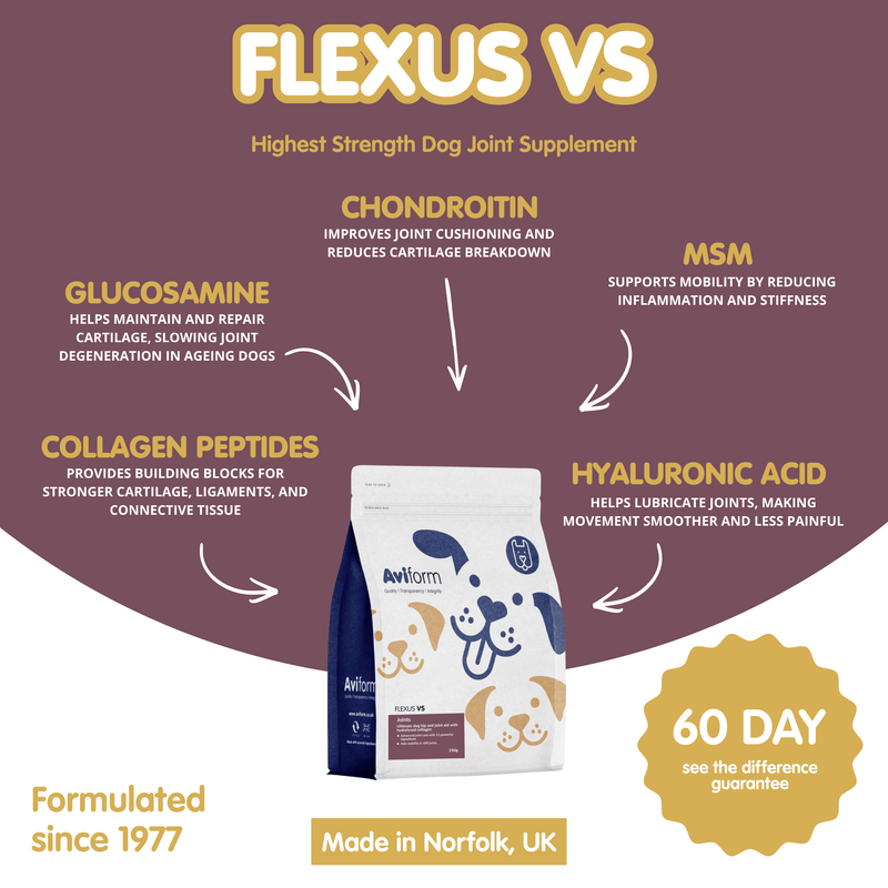 Flexus VS-500g-Ultimate Dog Hip and Joint Supplement - Image 3