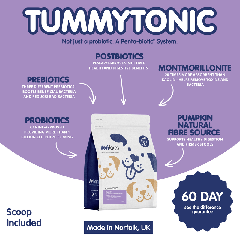 Tummytonic®-500g-New Formula Penta-biotic® Digestive Supplement for Dogs - Image 3