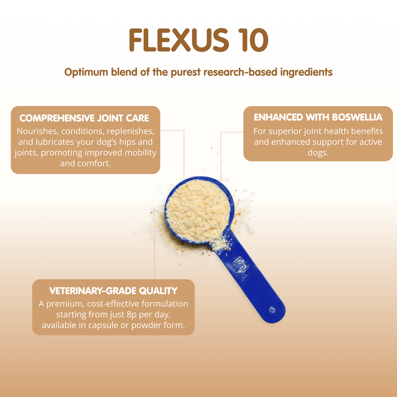 Flexus 10-270g-Premium Hip and Joint Supplement for Dogs - Image 2