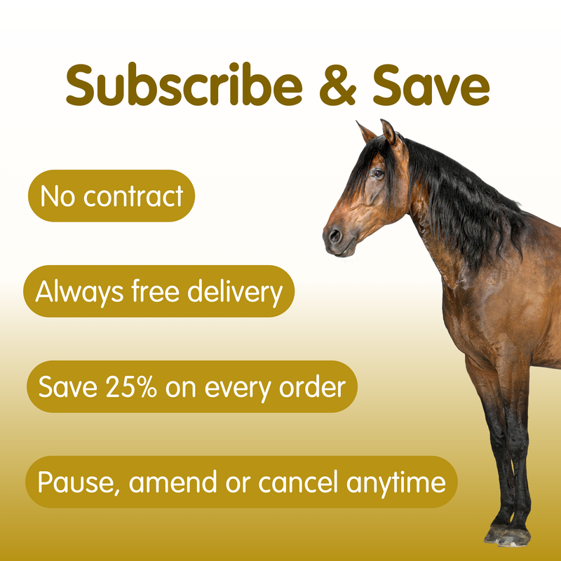 MSM | Pure Joint Care Supplement for Horses - Image 5