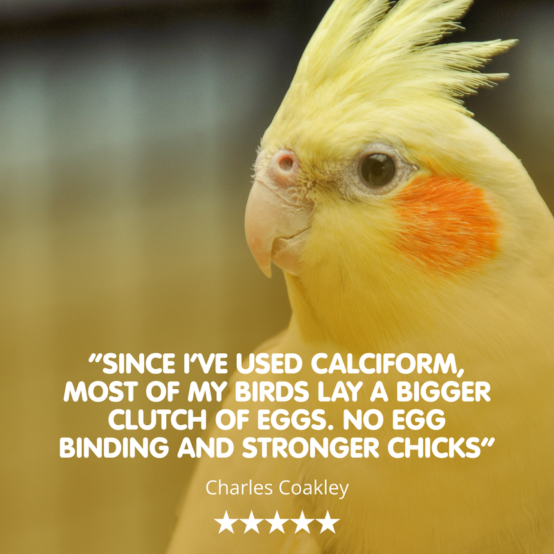 NEW CALCIFORM-1000ml-HiD3 Liquid Calcium for Cage & Aviary Birds - Image 3