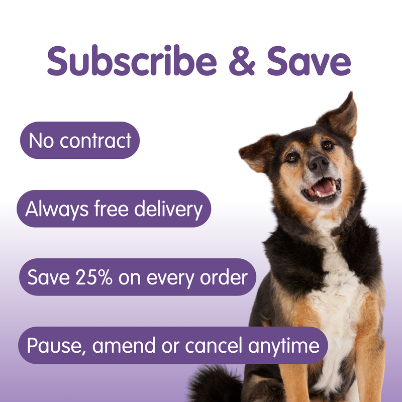 Tummytonic®-500g-New Formula Penta-biotic® Digestive Supplement for Dogs - Image 6
