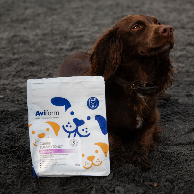 Tummytonic®-500g-New Formula Penta-biotic® Digestive Supplement for Dogs - Image 7