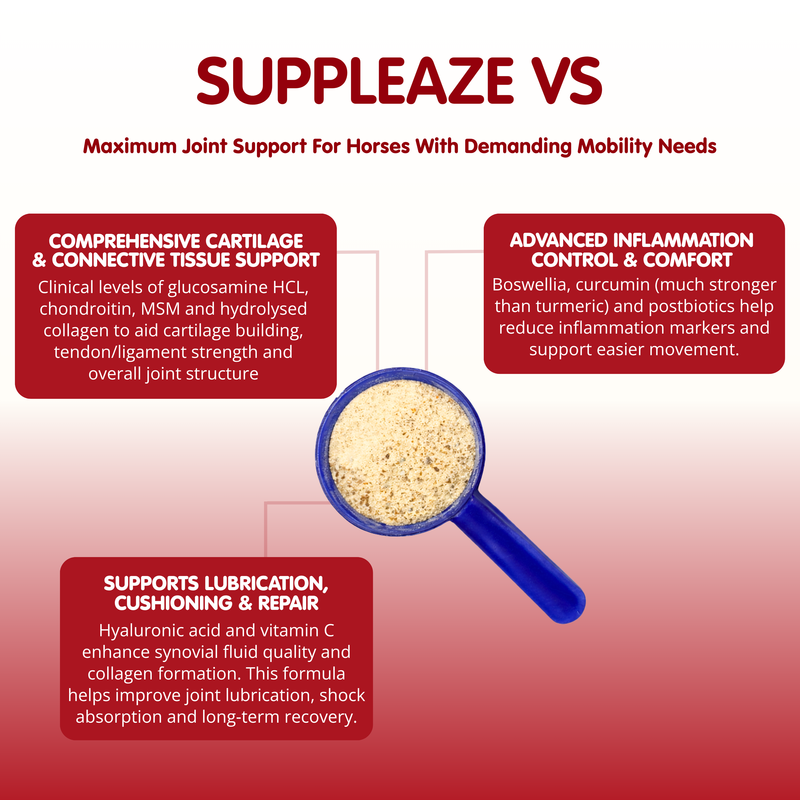 Suppleaze VS-1kg-Ultimate Equine Joint Supplement - Image 5